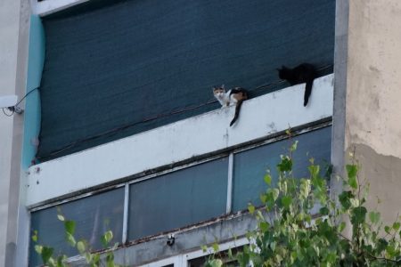 #
