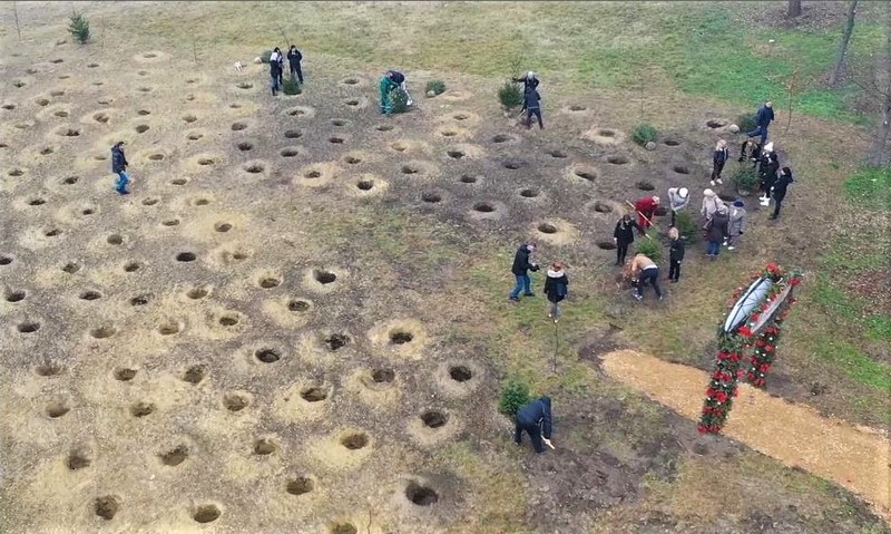 Park novogodišnjih jelki u Somboru