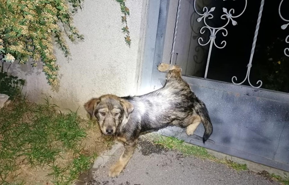 #