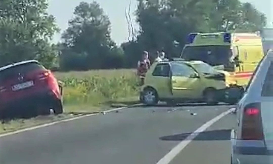 Frontalan sudar stara zagorska