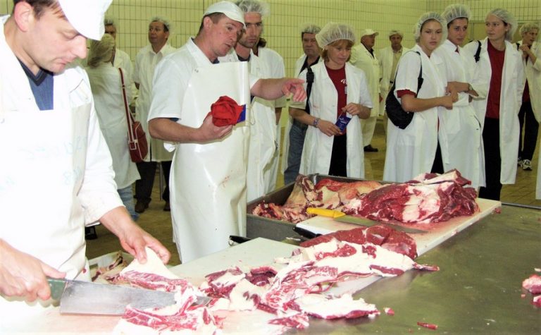 Podravka mesna industrija Danica braća Pivac kup8ju dionice