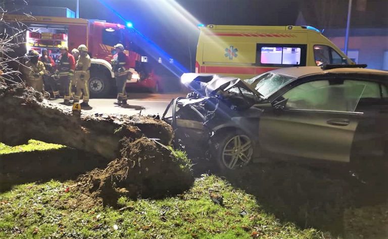 Prometna u Ludbregu, vozilom srušio drvo, debelo stablo kraj ceste