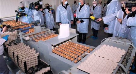 Farma jaja Lukač: salmonela hara